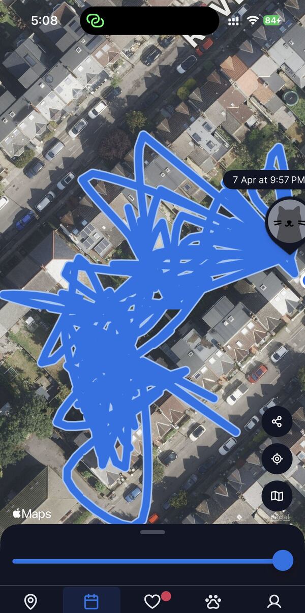 A screenshot of the Tractive pet tracking app shows the path that a cat has taken in a London neighborhood in London, Thursday, May 29, 2025.(AP Photo/Kelvin Chan)