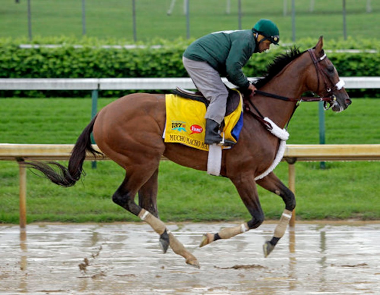 Horse with Georgia ties to race in Kentucky Derby