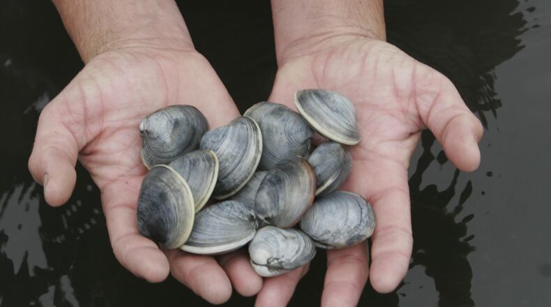 A disgruntled Florida diner complained that the clams he ordered were "extremely" small.