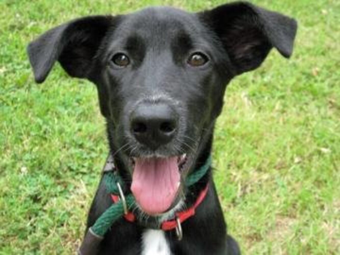 Can you find me a home, please?