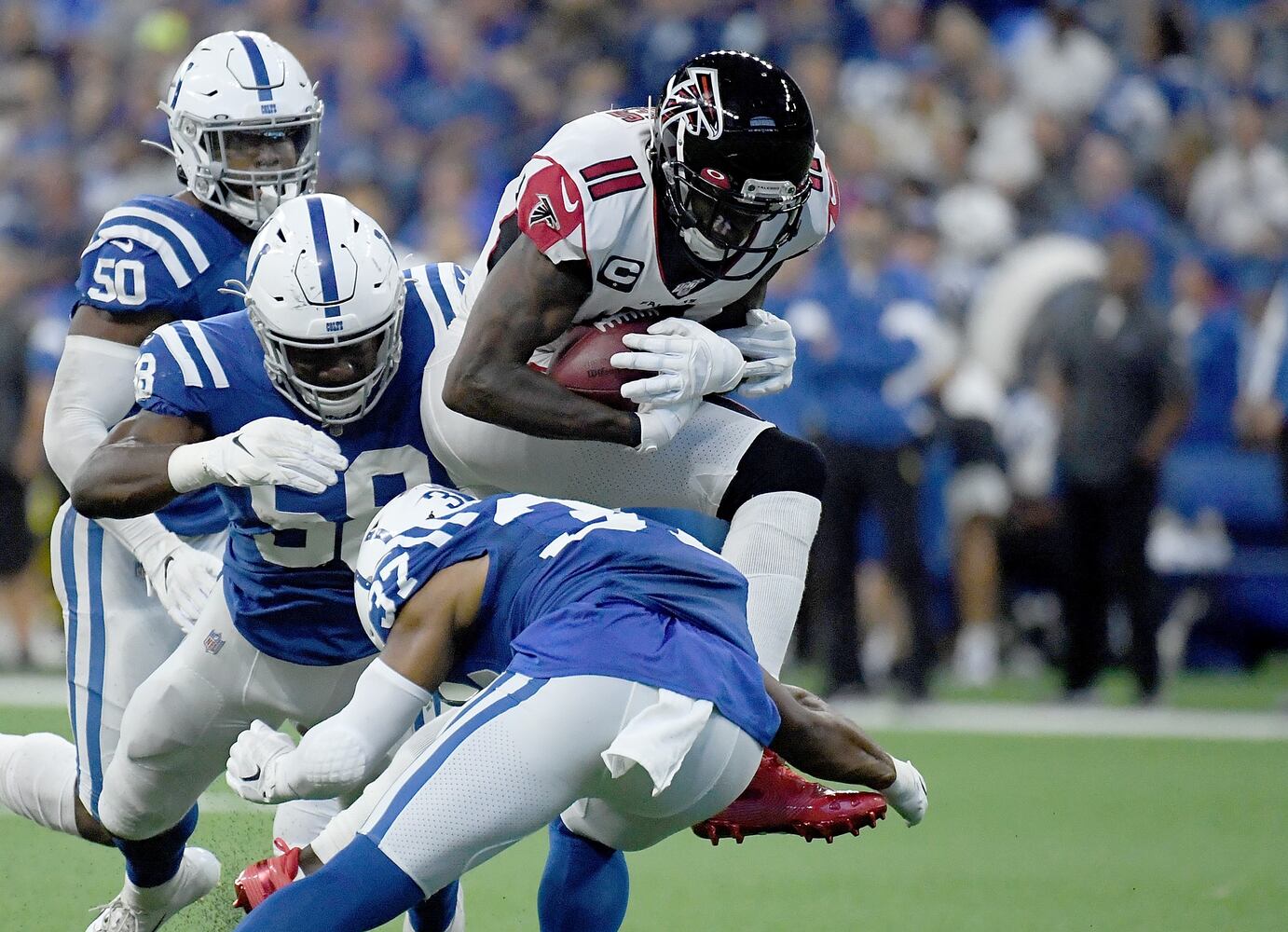 falcons