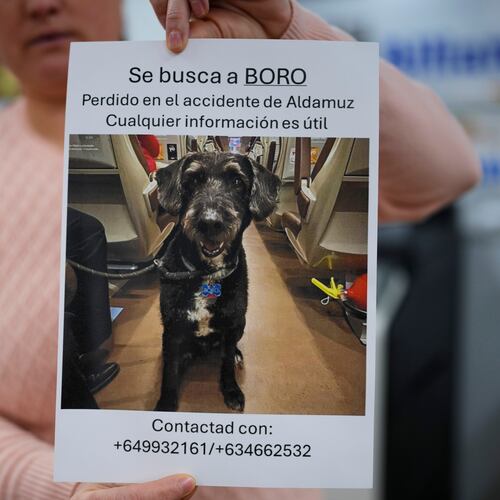 A woman holds a sign reading in Spanish, "Missing Boro. Lost during the Adamuz accident. Any information is helpful," about a dog that went missing during a train crash in Adamuz, southern Spain, Wednesday, Jan. 21, 2026. (AP Photo/Manu Fernandez)