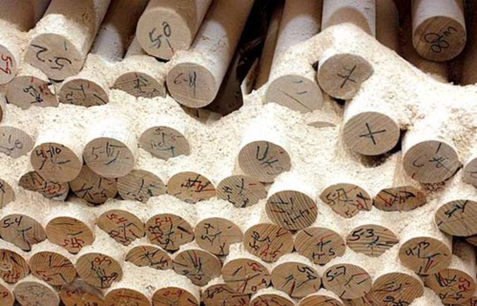 MLB maple bats: How they're made