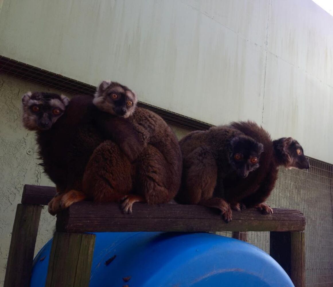 Noah's Ark Sanctuary