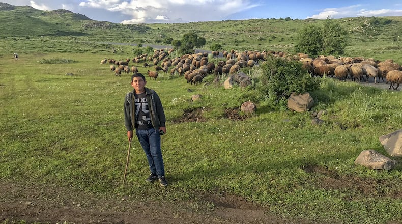 A shepherd watches his flock along the road to Kari Lake at the base of the Aragats peaks. (Ralph Vartabedian/Los Angeles Times/TNS)