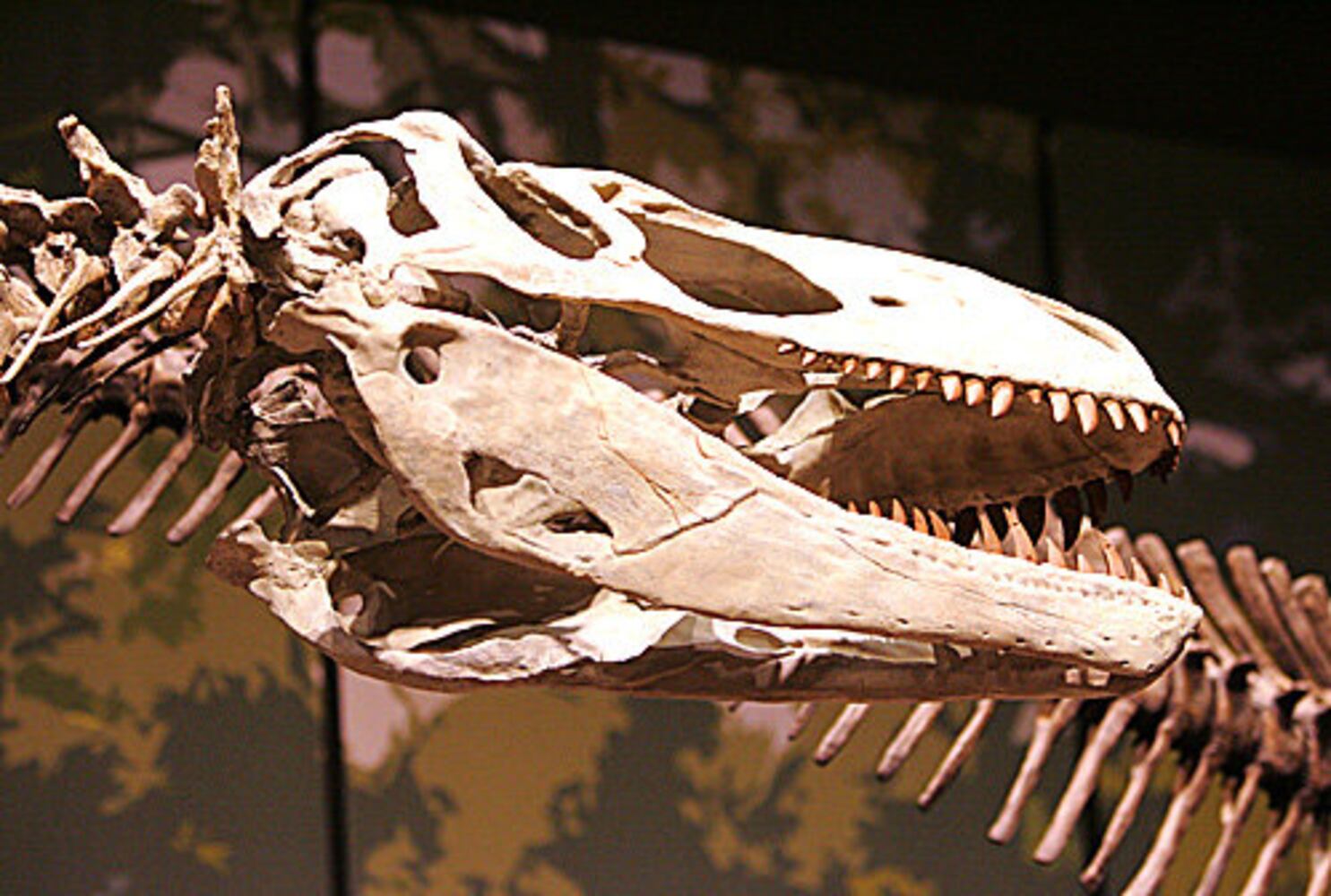 Tellus: Northwest Georgia Science Museum