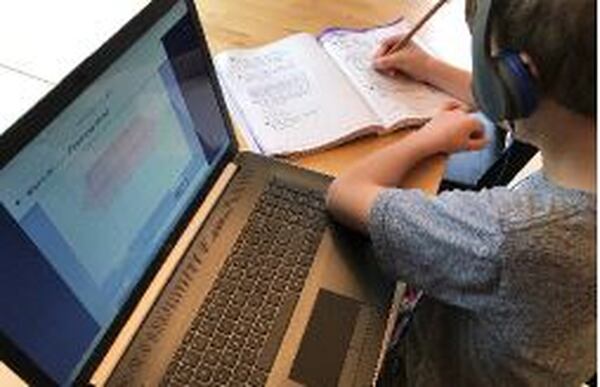 Parents as well as teachers have had to make a lot of adjustments as the coronavirus moved much instruction online or onto the kitchen table.