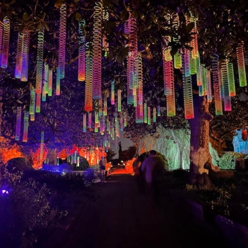 Iluminated rainbow Slinkys hanging from one of Oakland Cemetery's mature trees is a fanciful touch, adding a different dimension to a nighttime art tour of the Victorian burial ground,