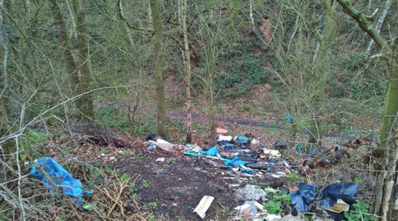 Peachtree Corners considering litter control ordinance to prevent litter from finding its way into streams, rivers and lakes. (File Photos)