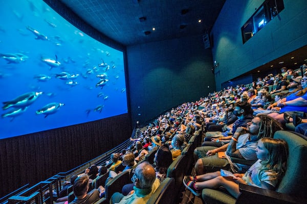 "Coral Sea" will screen at Fernbank Muesum's Giant Screen Theater in conjunction with the opening of new exhibit "Turtles" starting June 7. (Courtesy of Fernbank Museum)