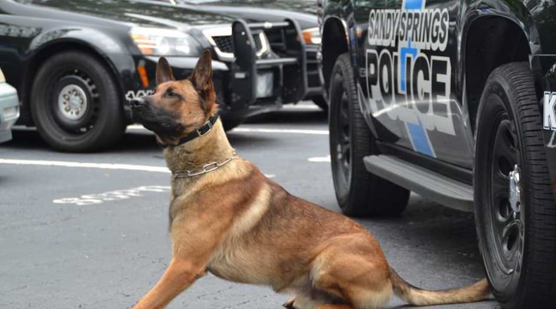 Falco, a Belgian Malinois, has just completed his K-9 training and is ready for duty with the Sandy Springs Police Department.