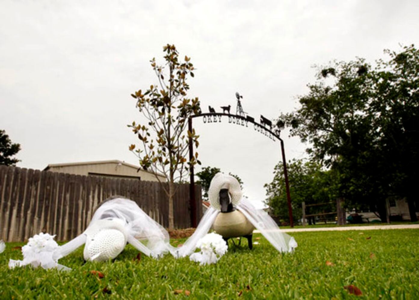 The scene in Texas for Jenna Bush wedding
