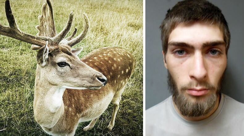 Zachary Merriam, right, is accused of clubbing his mother with a rifle stock over stolen deer meat.