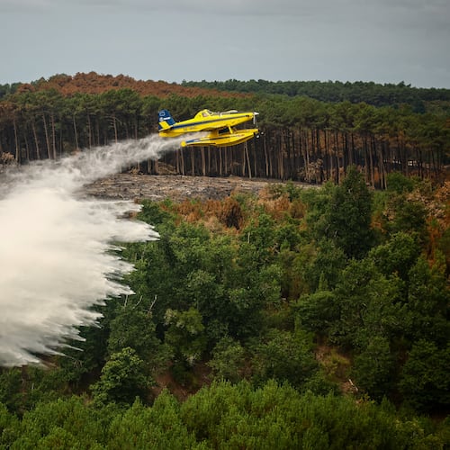 A picture taken from the French Civil Security rescue coordination helicopter shows a firefighting plane dropping water during a wildfire in Le Porge, France, Firday, July 31, 2026. (Sarah Meyssonnier/Pool Photo via AP)