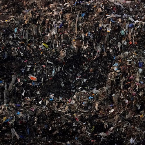 FILE - Shredded organic materials are piled up at a GreenWaste Renewable Energy Digestion Facility in San Jose, Calif., Oct. 27, 2023. (AP Photo/Jeff Chiu, File)