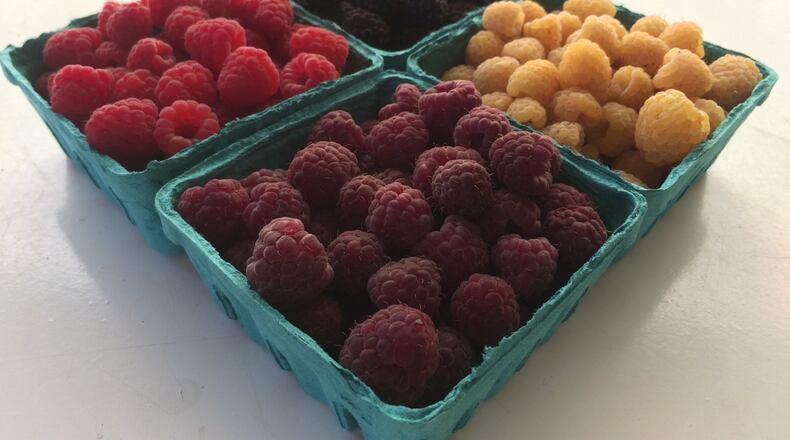 Bramberi Farm near Dahlonega grows lots of berries including these purple, red, gold and black raspberries. CONTRIBUTED BY JOERN SEIGIES