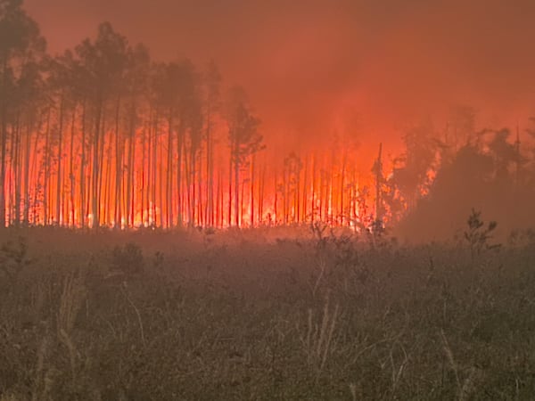 Pineland Road fire in southeast Georgia as seen on Saturday, April 25, 2026. (Georgia Forestry Commission)