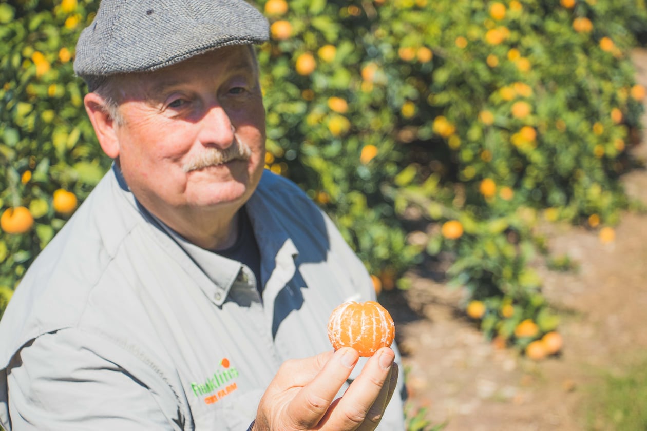 After Joe Franklin tasted his first satsuma mandarin in 2009 on a visit to Louisiana, he decided to begin growing the fruit. (Courtesy of Franklin’s Citrus Farm)