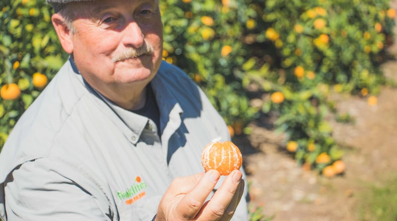 After Joe Franklin tasted his first satsuma mandarin in 2009 on a visit to Louisiana, he decided to begin growing the fruit. (Courtesy of Franklin’s Citrus Farm)