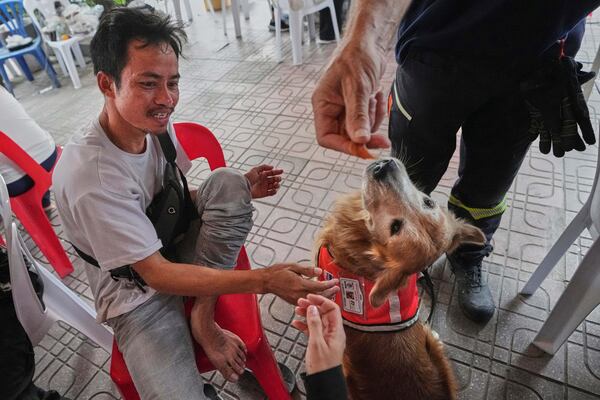 K9 named Safari works as an emotional support with relatives of workers of a high-rise building under construction that collapsed after Friday's earthquake in Bangkok, Thailand, Tuesday, April 1, 2025. (AP Photo/Sakchai Lalit)