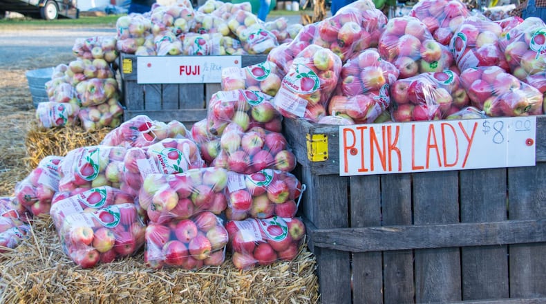 The Georgia Apple Festival in Ellijay honors tree-ripened mountain apples throughout two weekends. Contributed by Georgia Apple Festival