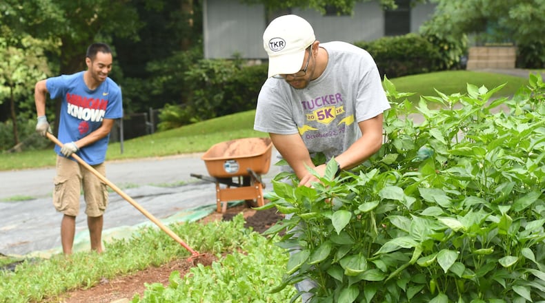 Reggie Ramos (left) and his twin brother, Roger Ramos, (right) work in one of the Tucker yards they lease for mini-farms. (Rebecca Breyer)