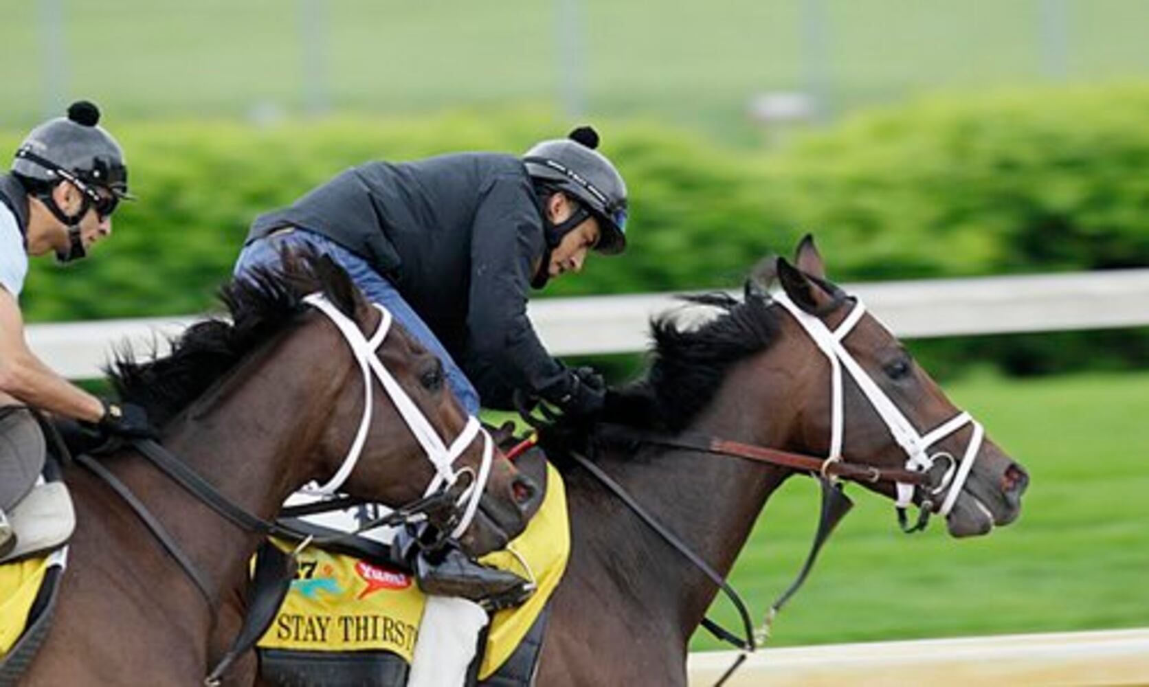 Kentucky Derby field 2011