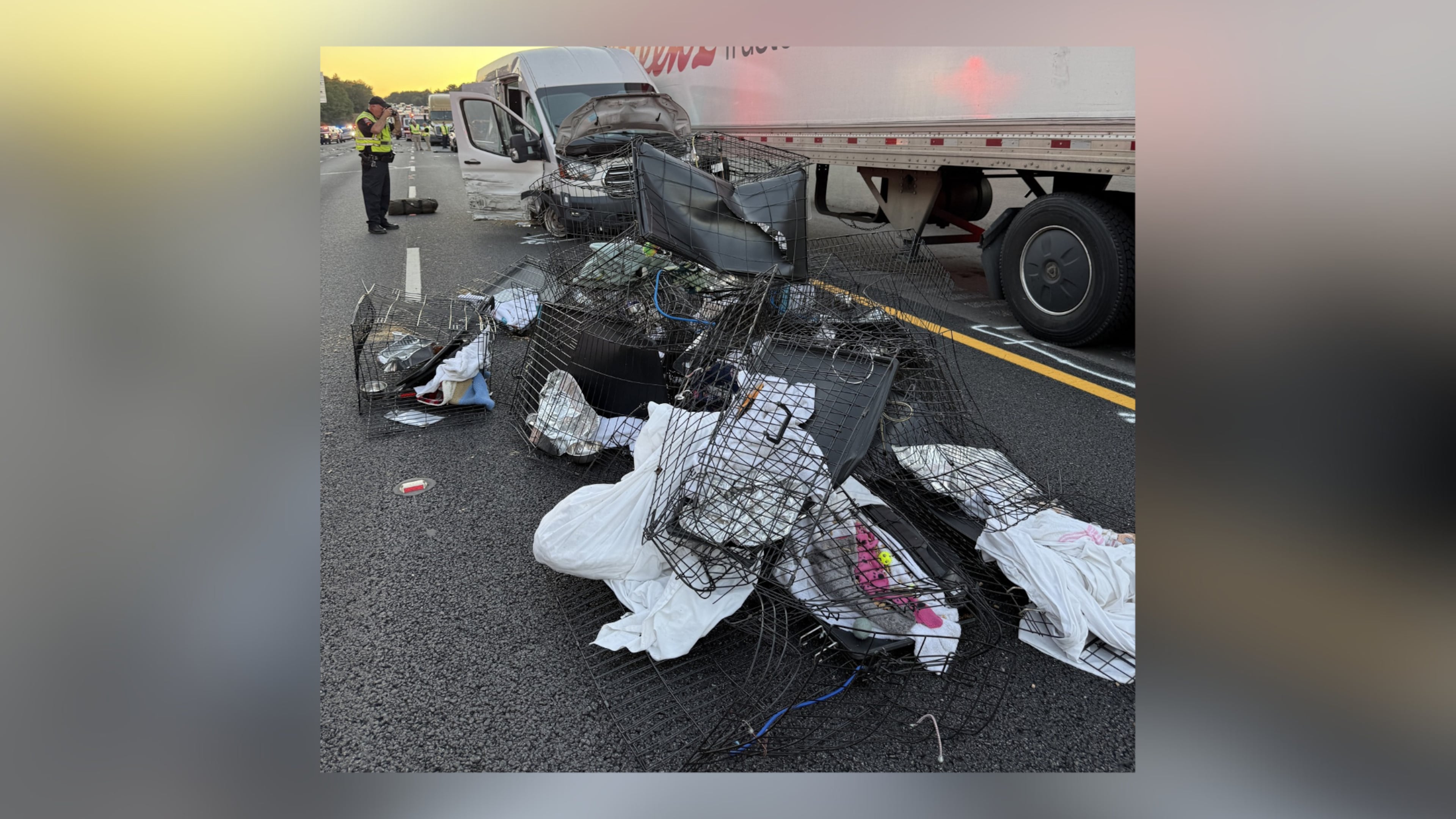 A van carrying 37 cats was involved in a chain-reaction crash after a tractor-trailer hit another van that went up in flames. Eight people were killed. (Courtesy of Furkids Animal Rescue and Shelters)
