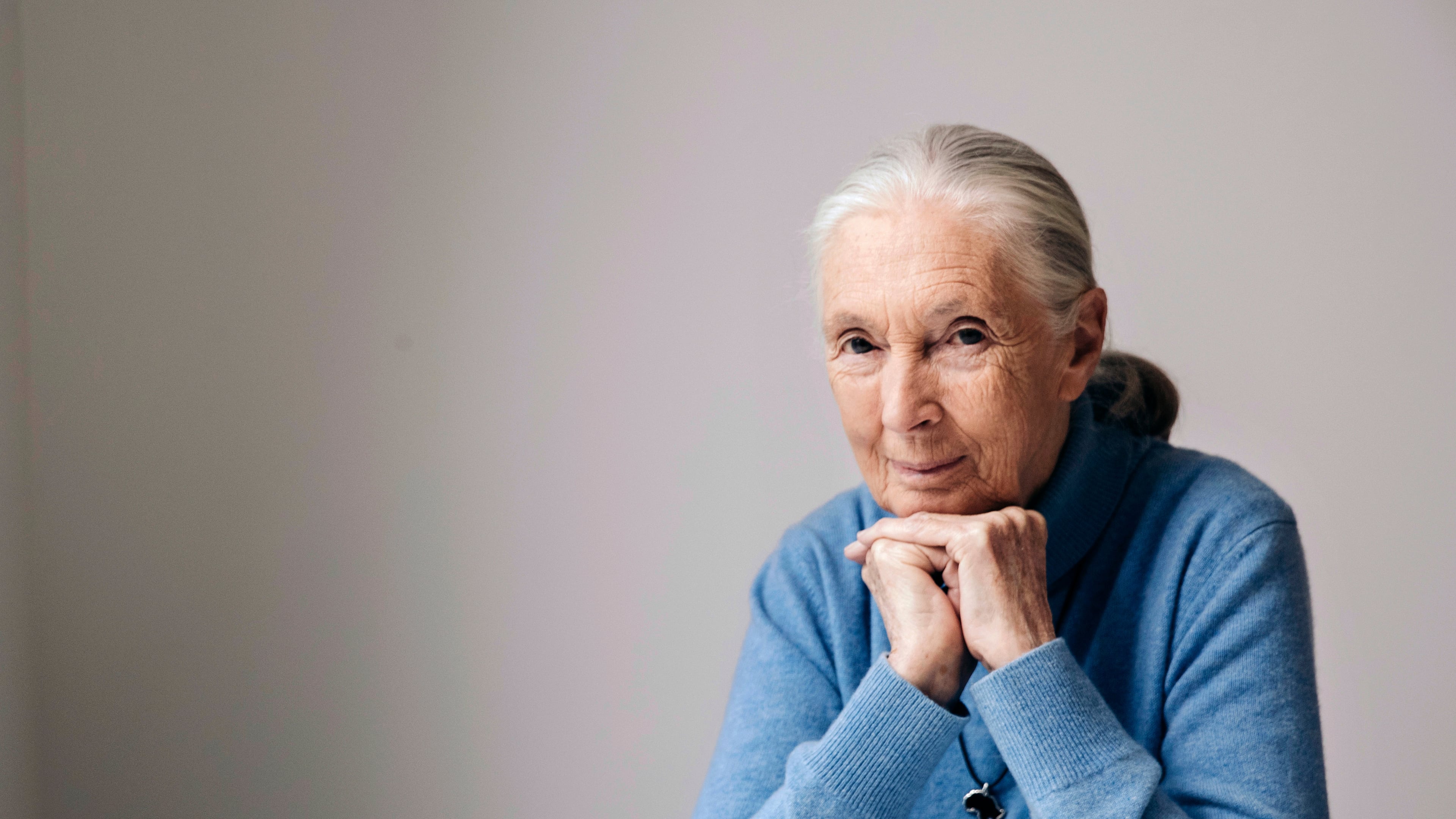 FILE - British primatologist, ethologist, and anthropologist Jane Goodall poses for a portrait in New York to promote the Disneynature film, "Born in China", April 7, 2017. Goodall, the conservationist renowned for her groundbreaking chimpanzee field research and globe-spanning environmental advocacy, died Wednesday, Oct. 1, 2025. She was 91. (Photo by Victoria Will/Invision/AP File)