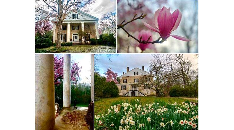 A project to install solar panels on the roof of Mimosa Hall in Roswell got a $25,000 boost with a donation by Georgia-Pacific. FRIENDS OF MIMOSA HALL & GARDENS via Facebook