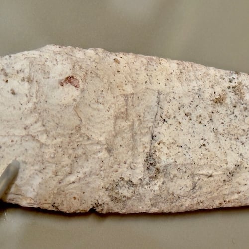 An image of the portion of a Clovis point or spear tip from around 9,000 B.C., which was found in 1935 during excavations at what is now the Ocmulgee Mounds National Historical Park in Macon. It is now on display in the park's visitor center and is shown here, secured to a panel by tiny prongs, enclosed in an observation case. (Joe Kovac Jr./AJC)