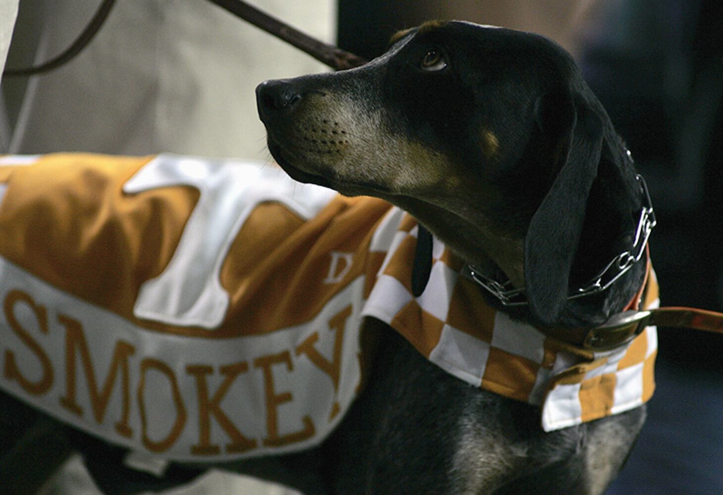 Smokey, Tennessee