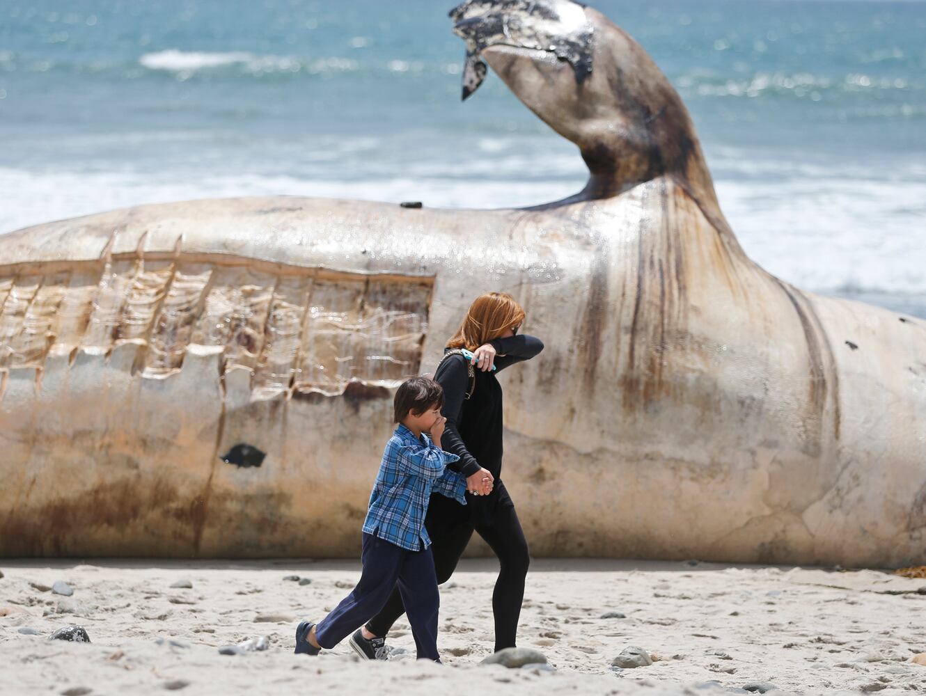Photos of the Week, April 29, 2016