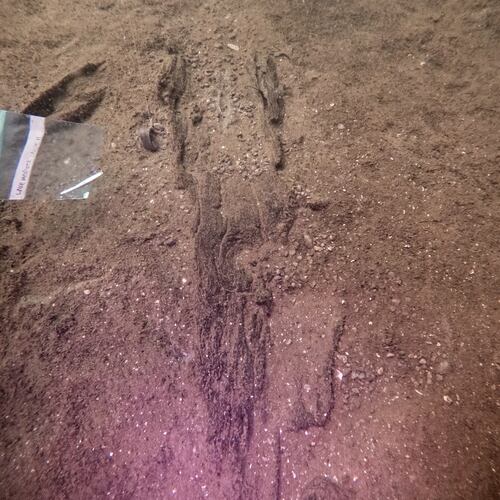 This photo made available by Wisconsin Historical Society Maritime Archeologist Tamara Thomsen, shows the remains of an ancient canoe sitting on the bottom of Lake Mendota, in Madison, Wis., in June 2025. (Tamara Thomsen/Wisconsin Historical Society via AP)