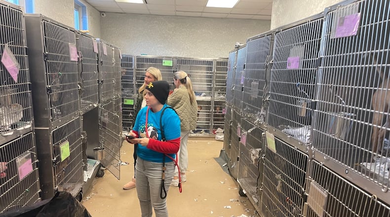 Natalie Pierce and Lauren Holston, rear, ponder which dog to foster Thursday after the DeKalb County Animal Shelter made a plea for the public to come in and foster or adopt because of overcrowding.