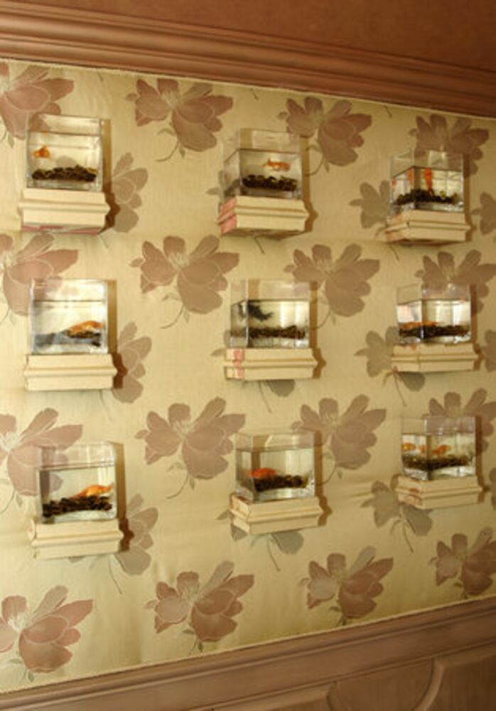 Feng shui tips for the home