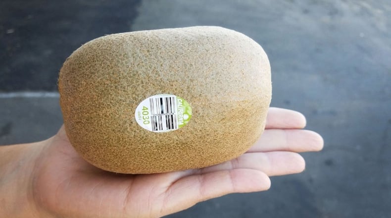 Mega Kiwi (Handout)