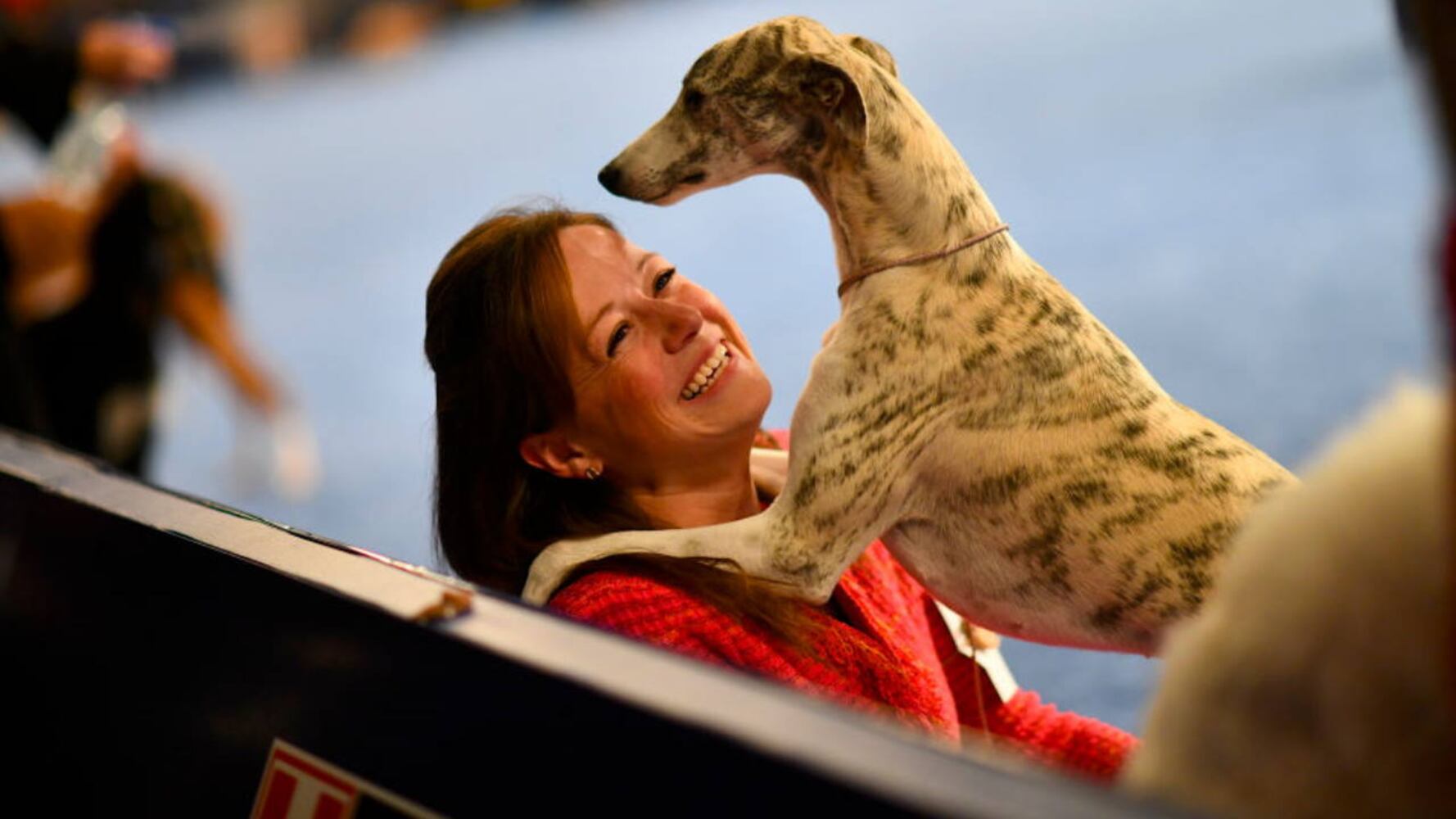 Photos: 2019 National Dog Show