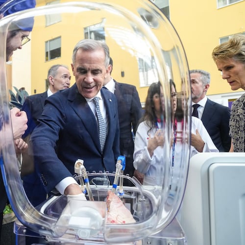 Prime Minister Mark Carney inspects a pig's lungs during an AI demonstration as they visit Toronto General Hospital on Thursday, June 4 2026. (Chris Young /The Canadian Press via AP)