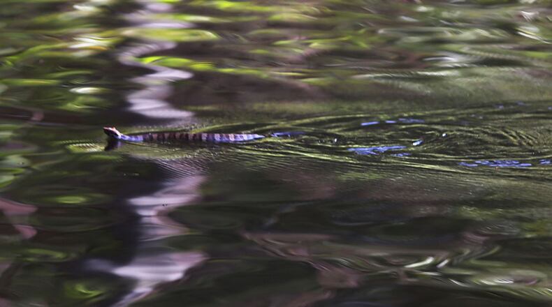 File photo. (Photo by Joe Raedle/Getty Images)