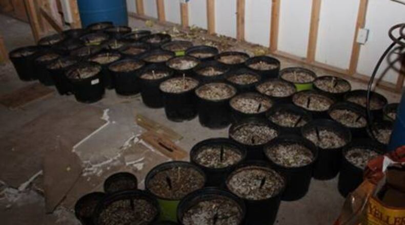 Gwinnett County police said a stolen car led authorities to the Lawrenceville-area home of Barry Dingle, where they uncovered a marijuana growing operation, stolen guns and other illegal activity. (Credit: Gwinnett County Police Department)