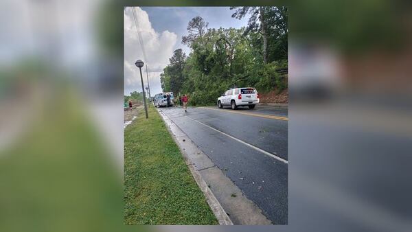 A UGA police officer went to check on reports of a fallen tree on East Campus at Field Street.