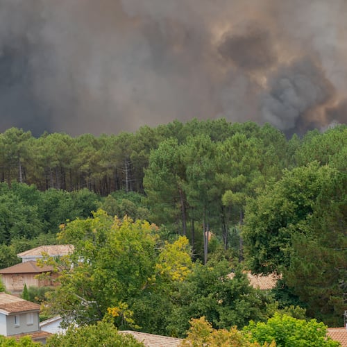 Smoke rises over wildfires in the Lège-Cap-Ferret region, western France, Thursday, July 23, 2026. (AP Photo/Caroline Blumberg)