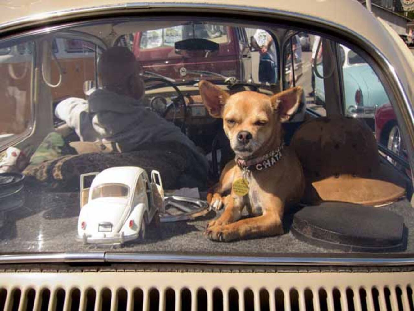 15th Annual Vintage VW Cruise