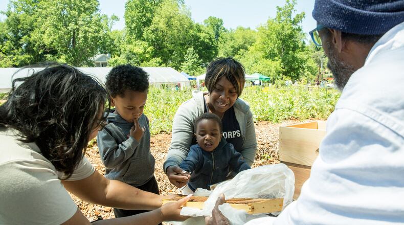 The Kids Corner at Food Well Alliance's Soil Festival / Photo from the Food Well Alliance Facebook page