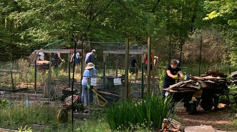Friends of Lost Corner volunteers at a recent work day at Lost Corner Preserve. COURTESY FRIENDS OF LOST CORNER