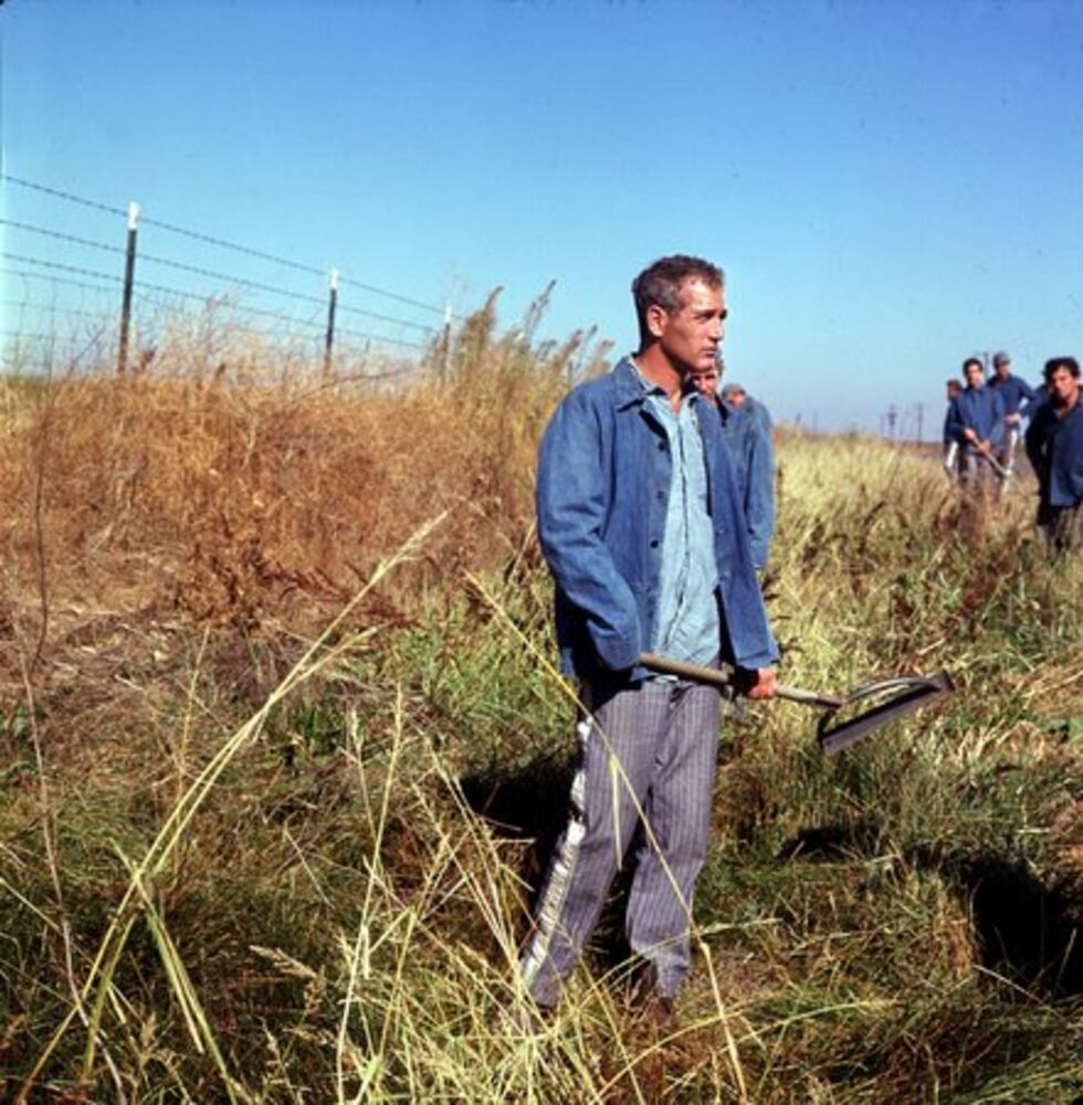 Paul Newman: A life in photos