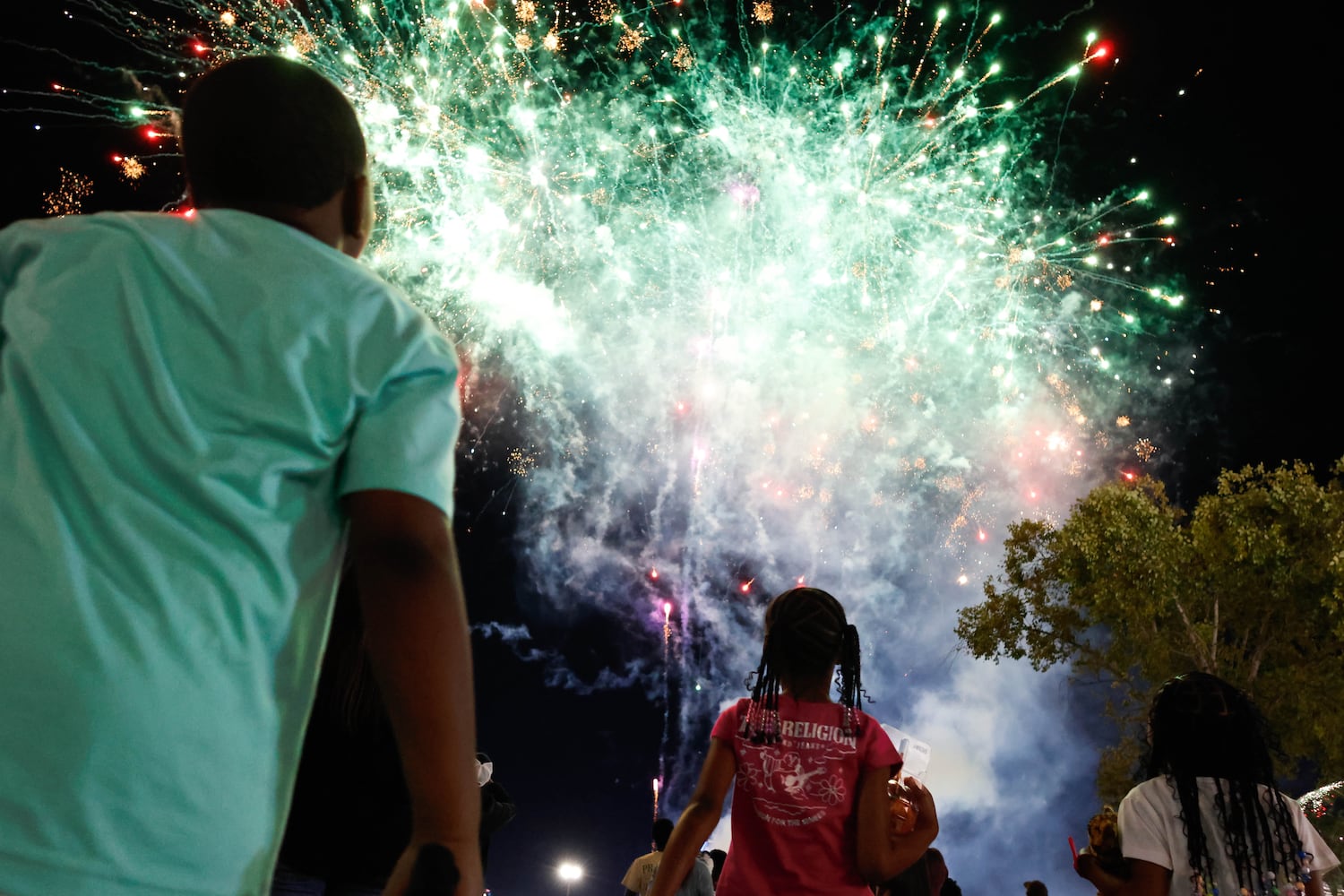 UGA National Fair