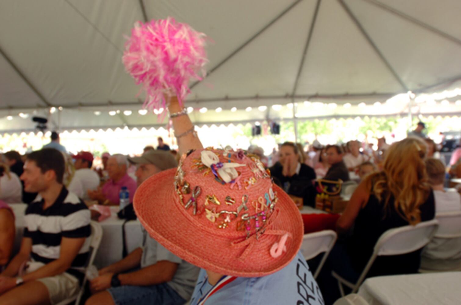 Atlanta 2-Day Walk for Breast Cancer