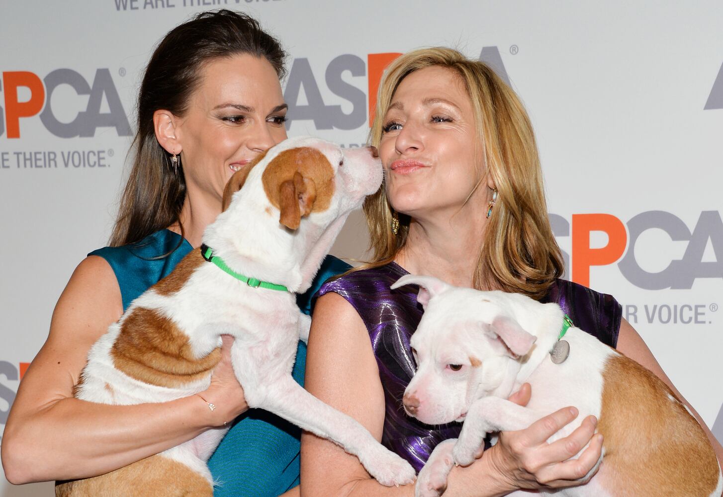 ASPCA Bergh Ball 2015